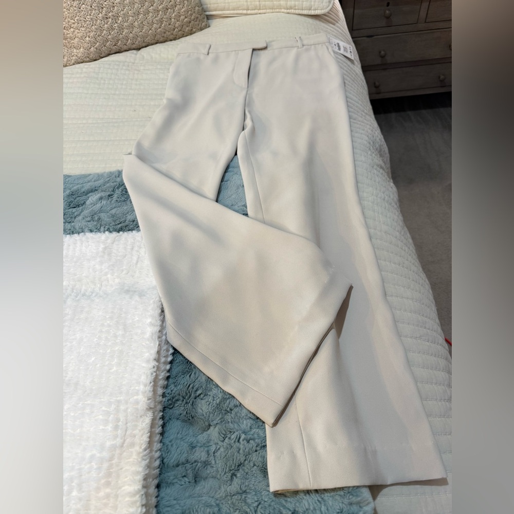 Zara Cream Wide Leg Pants NWT Size Large